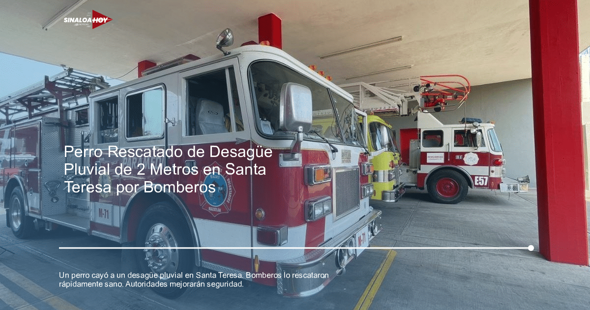 Camiones de bomberos en garaje, incluyendo un camión rojo con 'PARAMEDI M-11', relacionados con el rescate de un perro en Santa Teresa.