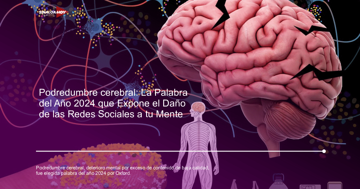 Imagen de un cerebro humano con redes neuronales, mano con partículas coloridas y esquema del sistema nervioso sobre fondo oscuro.