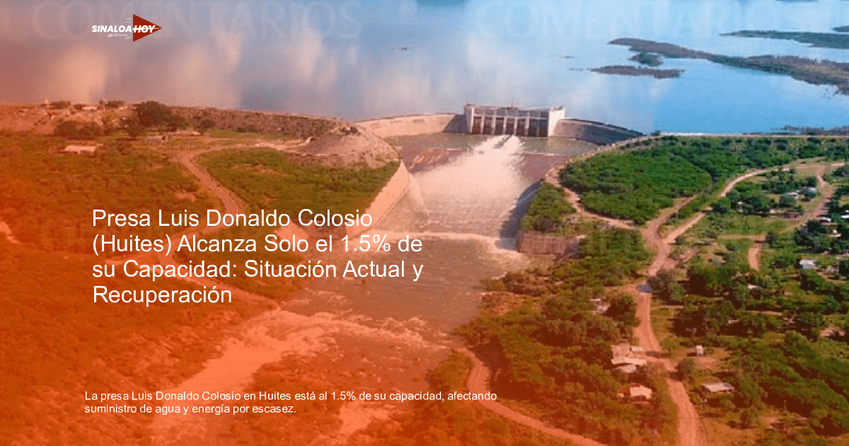 Vista de la presa Luis Donaldo Colosio en Huites con agua fluyendo y un entorno verde.