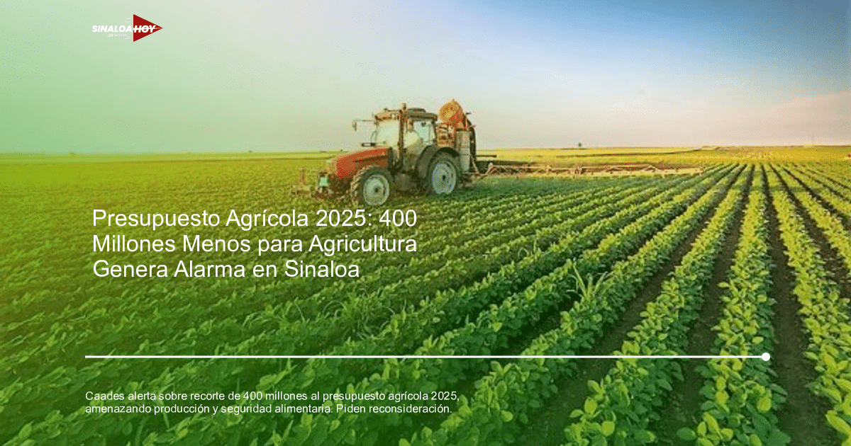 Campo agrícola con hileras de plantas y un tractor rojo al amanecer