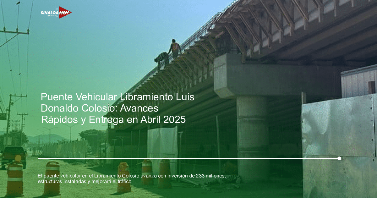 Trabajadores en la construcción del puente vehicular en el Libramiento Luis Donaldo Colosio, con estructuras de concreto y enrejados visibles.