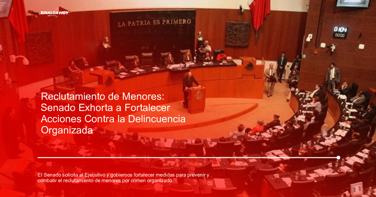 Sesión del Senado sobre estrategias contra el reclutamiento de menores por el crimen organizado