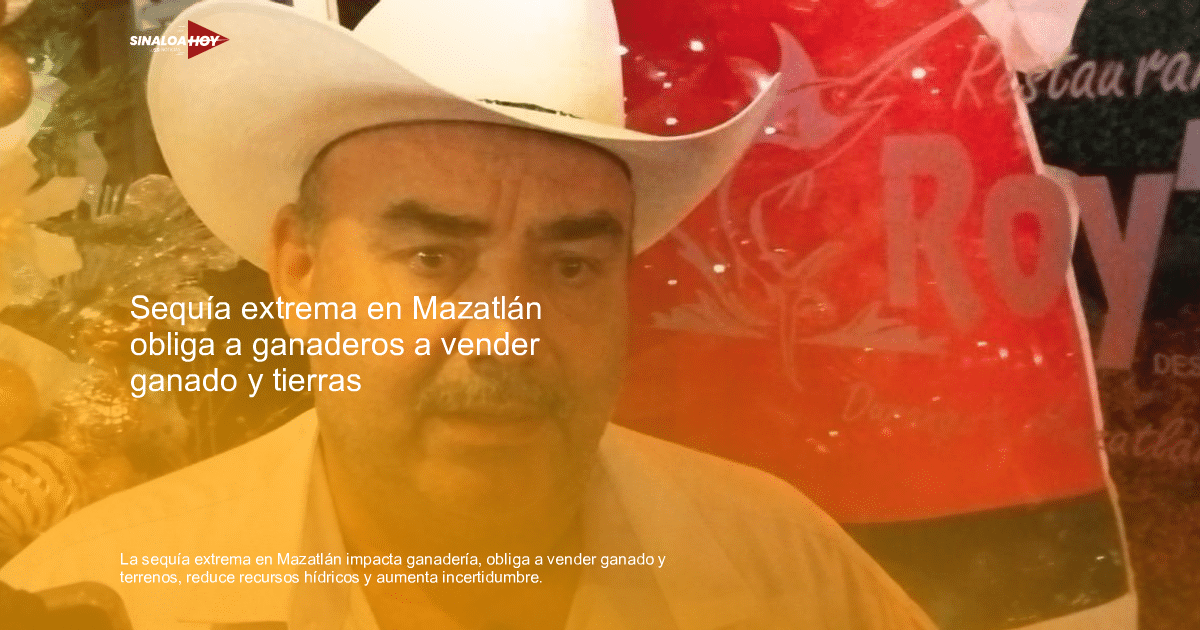 Ganaderos de Mazatlán enfrentan sequía extrema