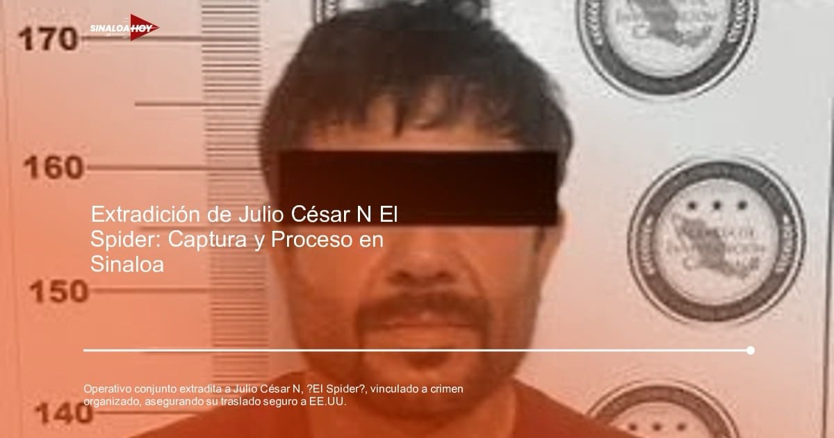 Captura., Colaboración internacional, crimen organizado, extradicion, Secretaria de Seguridad Pública