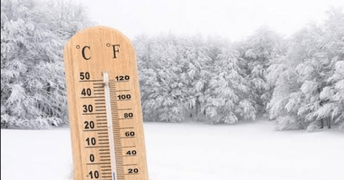 Termómetro de madera en paisaje nevado con árboles cubiertos de nieve, mostrando temperaturas en Celsius y Fahrenheit.