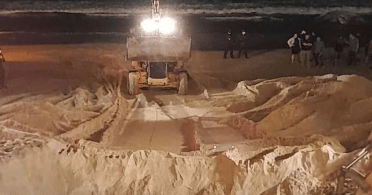 Maquinaria pesada en la playa de Mazatlán durante la sepultura de una ballena jorobada, con espectadores al fondo.