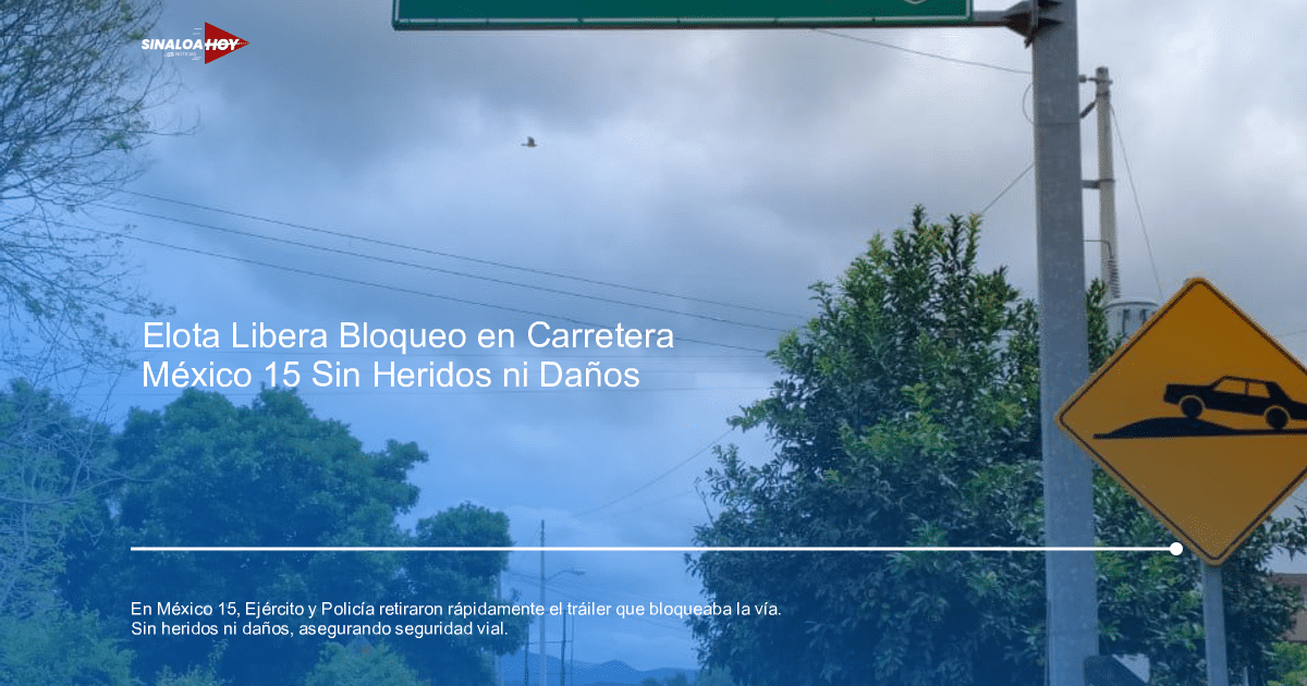 Señal de tráfico amarilla en carretera con árboles y cielo nublado, México 15