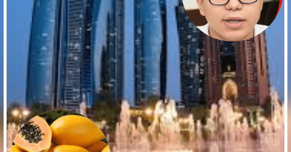 Vista de una ciudad moderna con una fuente y frutas tropicales, representando un proyecto de salud pública con semillas de papaya.