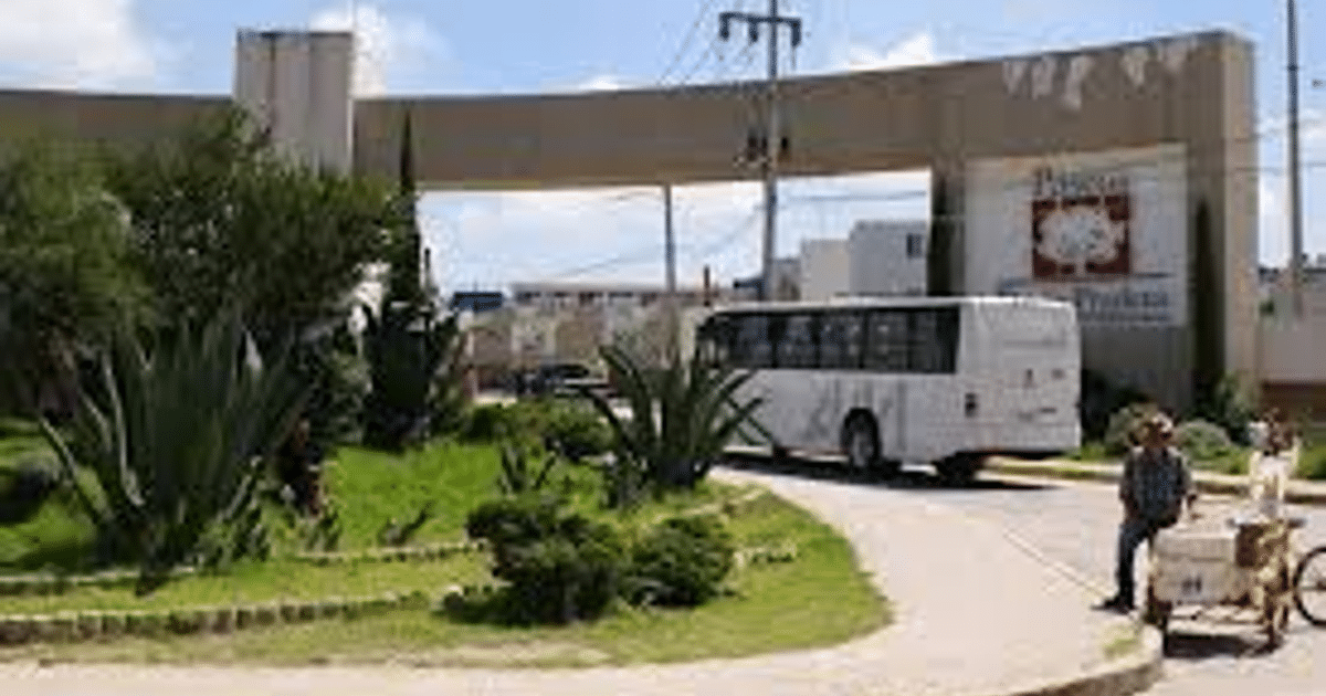 Área urbana con autobús blanco, personas y vegetación en Atotonilco de Tula.