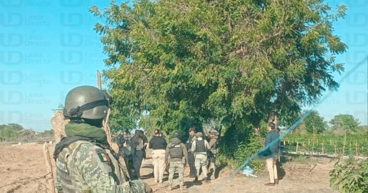 Fuerzas de seguridad y civiles en operativo rural en Mazatlán, Sinaloa.