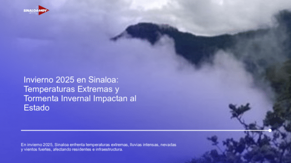 Paisaje montañoso con niebla en Sinaloa, invierno 2025
