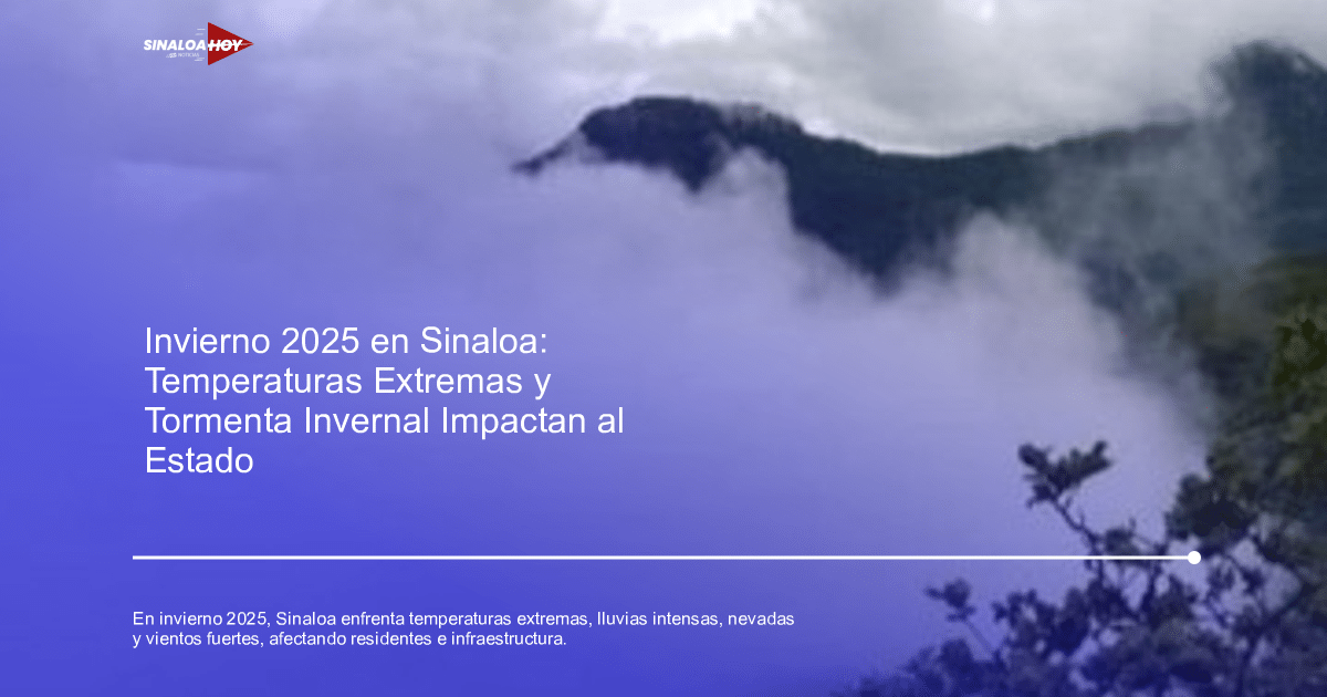 Paisaje montañoso con niebla en Sinaloa, invierno 2025