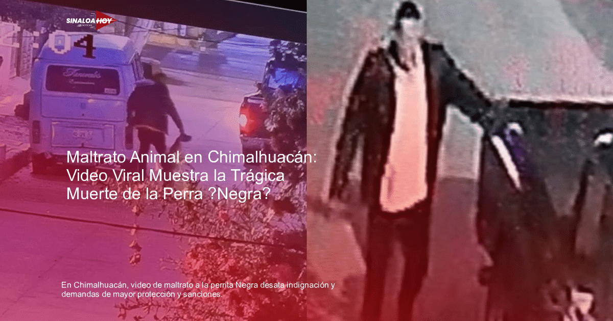 Capturas de video de vigilancia en Chimalhuacán relacionadas con un caso de maltrato animal.