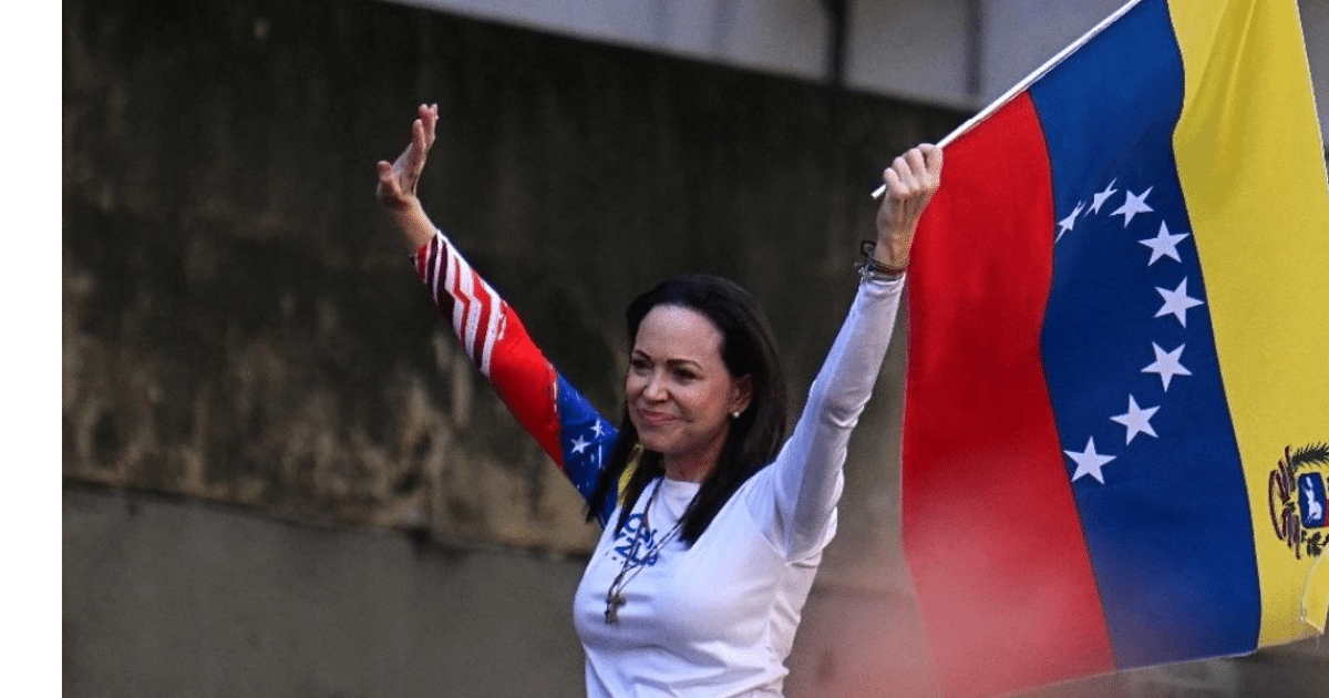 Mujer sosteniendo bandera de Venezuela en manifestación política