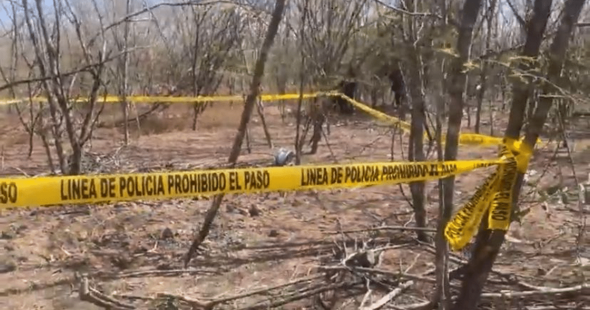 Área boscosa con cordón de seguridad policial en Culiacán, Sinaloa, tras el hallazgo de restos humanos.