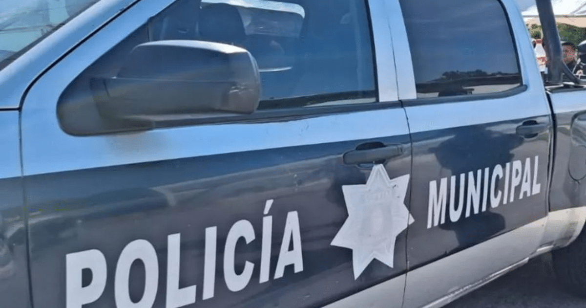 Vehículo de la Policía Municipal en Culiacán con pintura azul y blanca y una insignia de estrella.