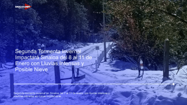Camino nevado con vehículo, árboles y barreras de madera en un paisaje de montaña durante el invierno.