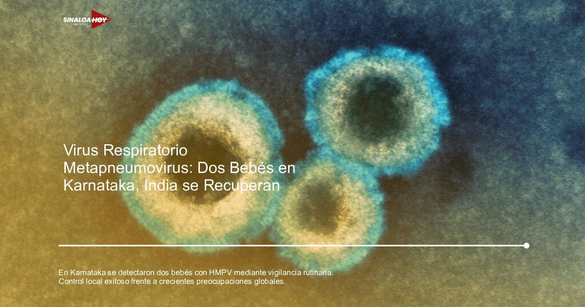 Imagen microscópica de un virus, posiblemente metapneumovirus humano, con patrones y colores distintivos.