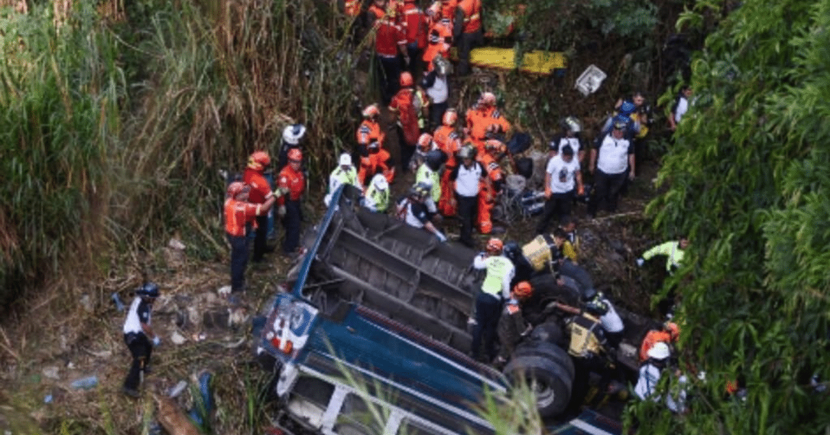 Accidente de autobús en área boscosa con rescatistas trabajando en el lugar