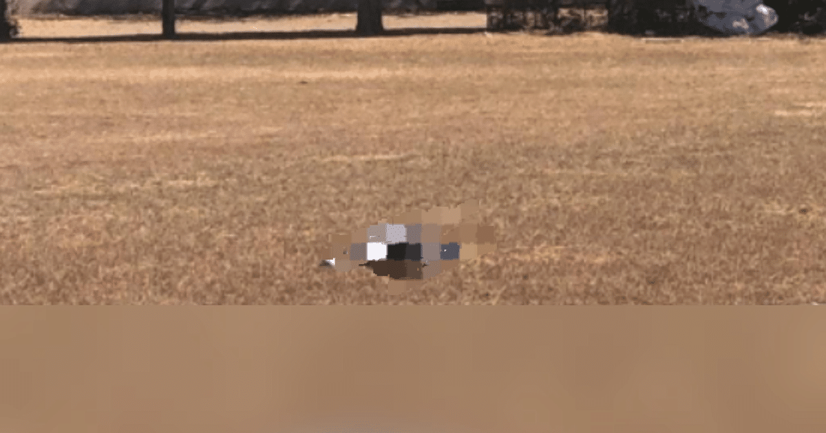 Estadio Cuco Ramírez en Culiacán, sitio de un incidente armado