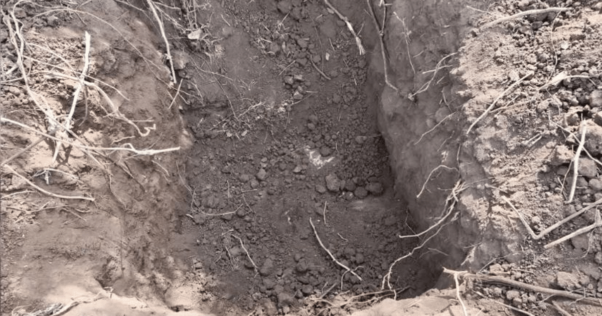 Hoyo en el suelo con tierra removida y raíces en Playa Colorada, Angostura