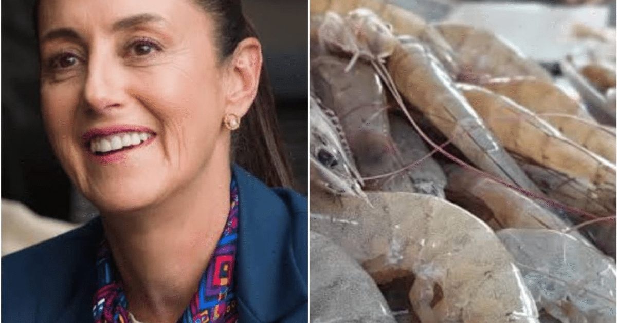 Retrato de Claudia Sheinbaum junto a camarones, representando el comercio México-Ecuador.