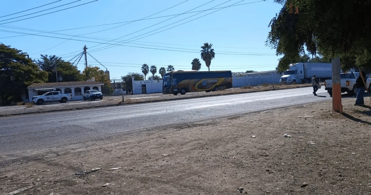 Camino asfaltado con vehículos y vegetación en Culiacán, Sinaloa
