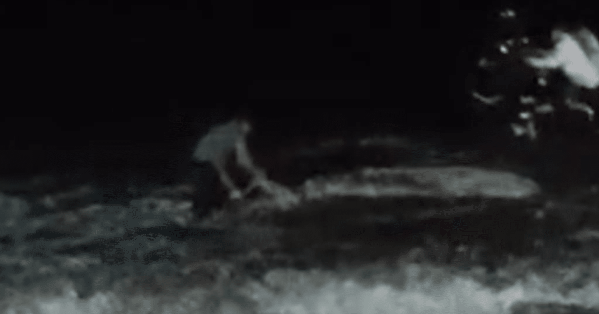 Autoridades de Mazatlán coordinan acciones tras el varamiento de una ballena en la playa.