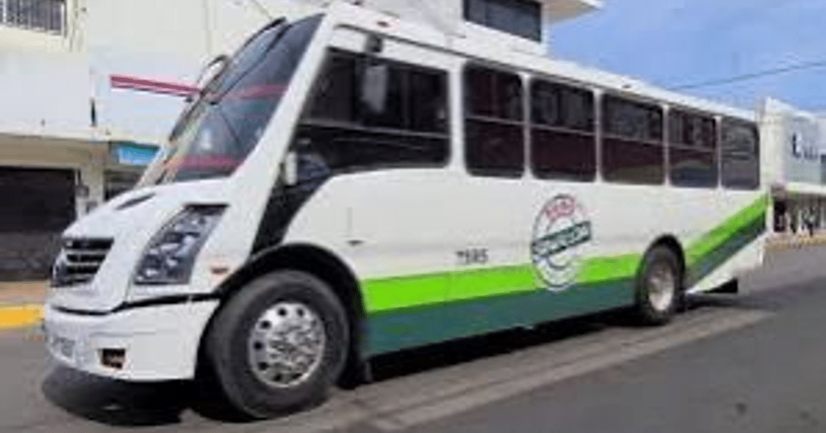 Autobús de transporte público blanco y verde en Mazatlán, Carnaval 2025
