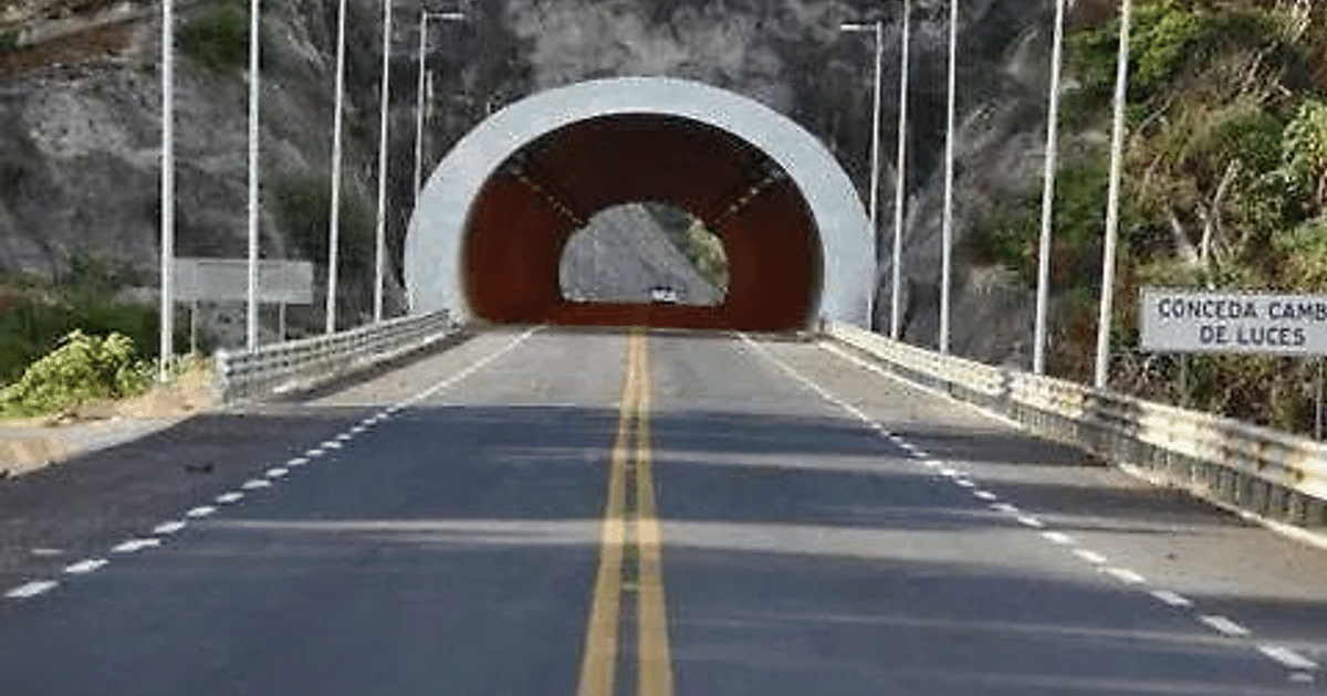 Camino hacia un túnel semicircular en carretera con letrero de advertencia y vegetación.