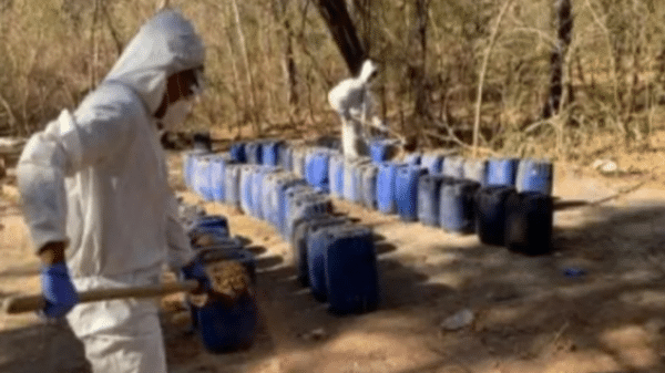 Personas con trajes de protección manipulando barriles en un área boscosa durante un operativo en Sinaloa.