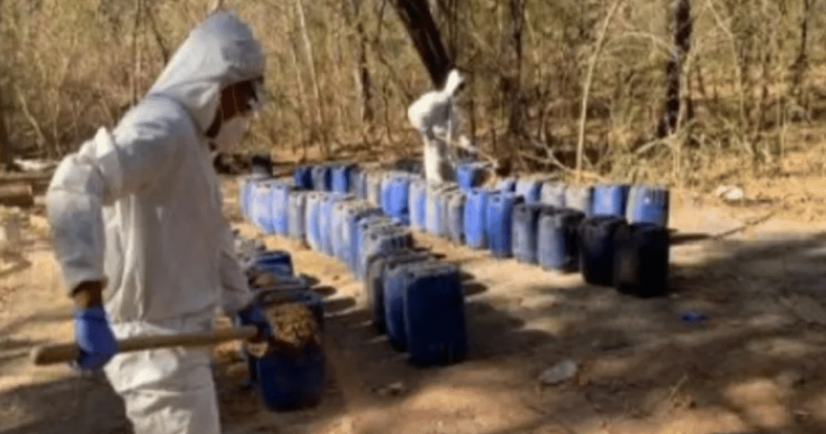 Personas con trajes de protección manipulando barriles en un área boscosa durante un operativo en Sinaloa.
