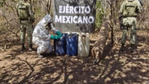Personal del Ejército Mexicano en operativo contra laboratorios clandestinos en Sinaloa