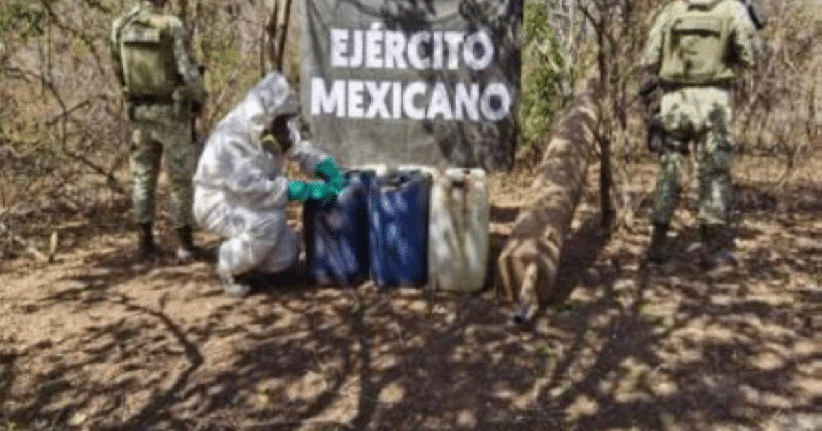 Personal del Ejército Mexicano en operativo contra laboratorios clandestinos en Sinaloa
