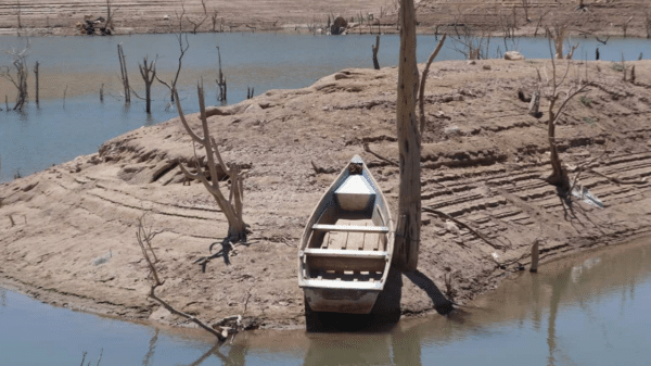Embarcación de madera en orilla seca con árboles secos, reflejando la sequía en Sinaloa.