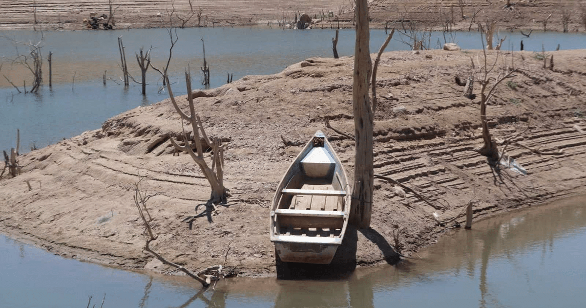 Embarcación de madera en orilla seca con árboles secos, reflejando la sequía en Sinaloa.