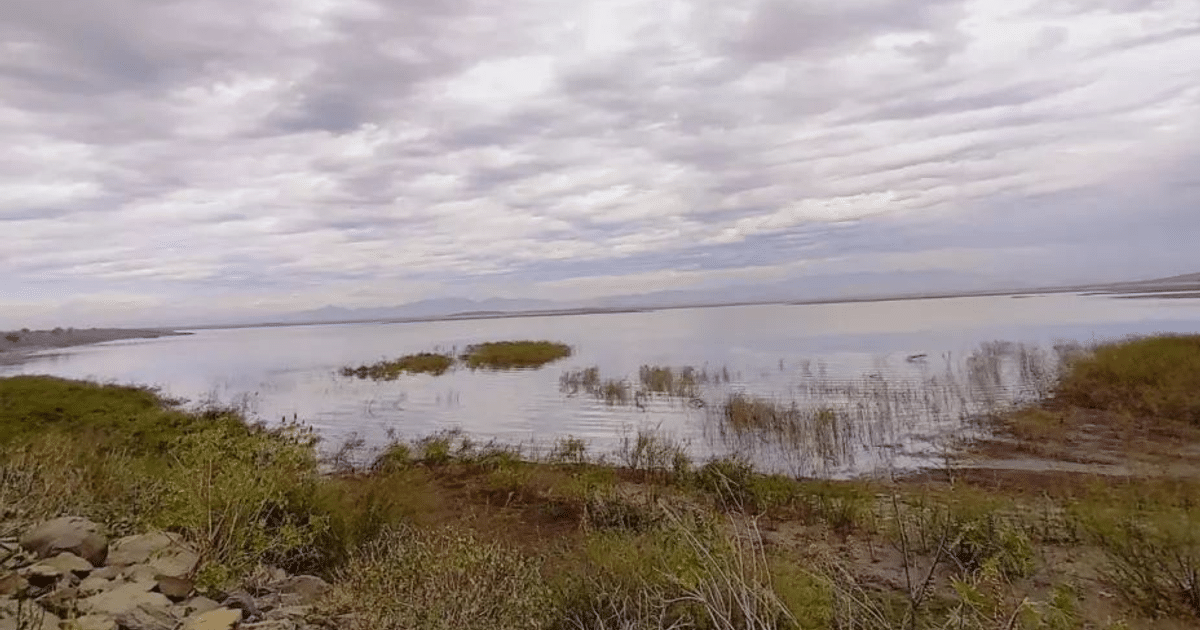 Paisaje natural con lago, vegetación y montañas bajo un cielo nublado en Sinaloa.