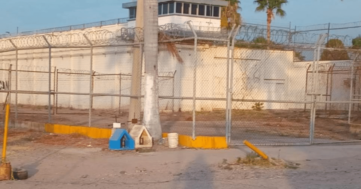 Área cercada con alambre de púas y torre de vigilancia en entorno árido, relacionada con caso de robo agravado en Sinaloa.