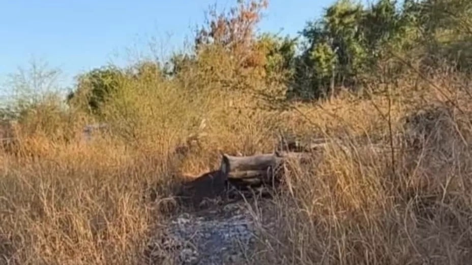 #Culiacán, #Desapariciones, Hallazgo de restos humanos, identificación genética., Sabuesos Guerreras