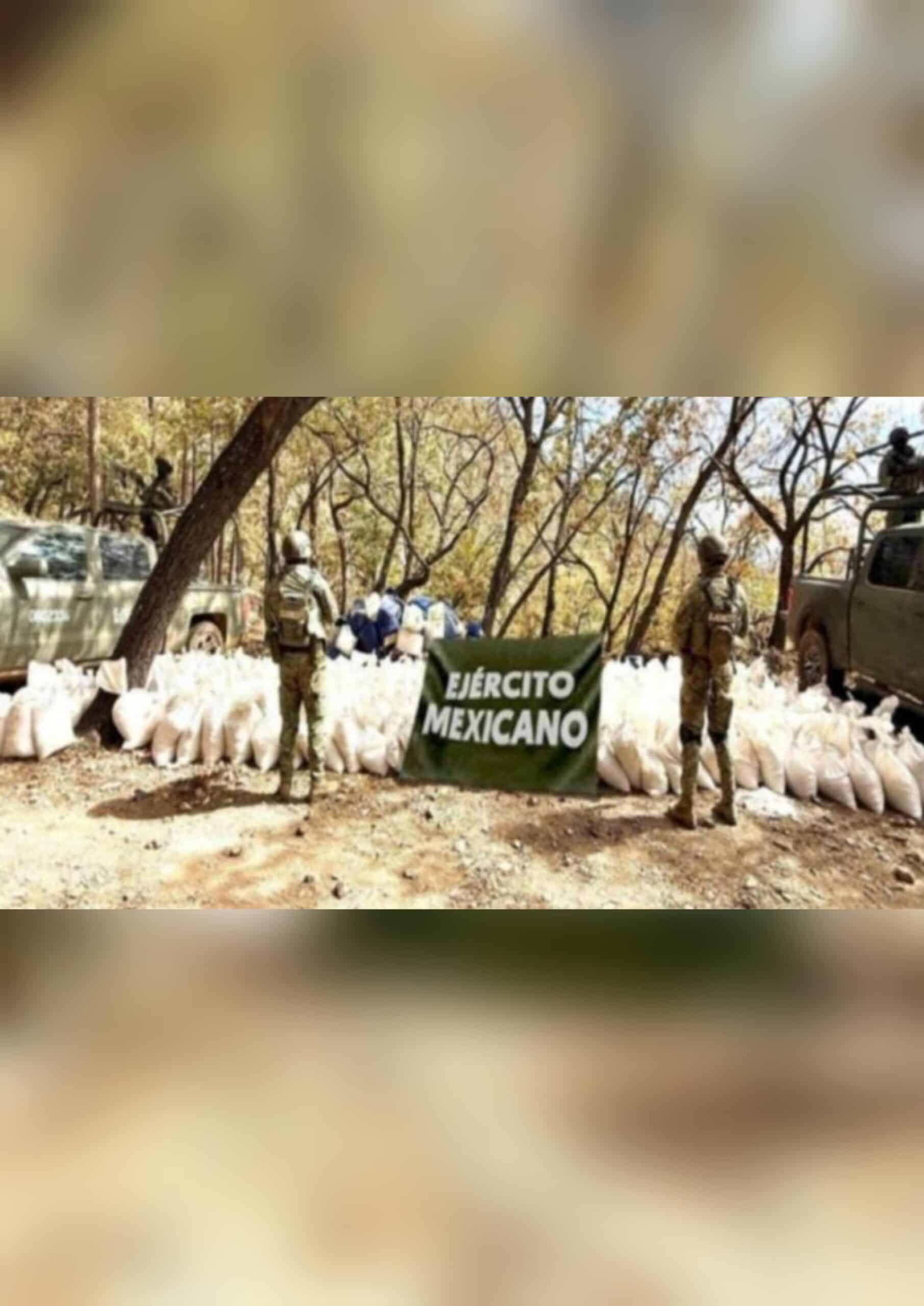 cárteles de narcotráfico, crimen organizado, Decomiso de drogas, Ejército Mexicano, Inseguridad