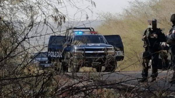 Vehículo policial con luces encendidas y agentes armados en un área boscosa de Badiraguato.