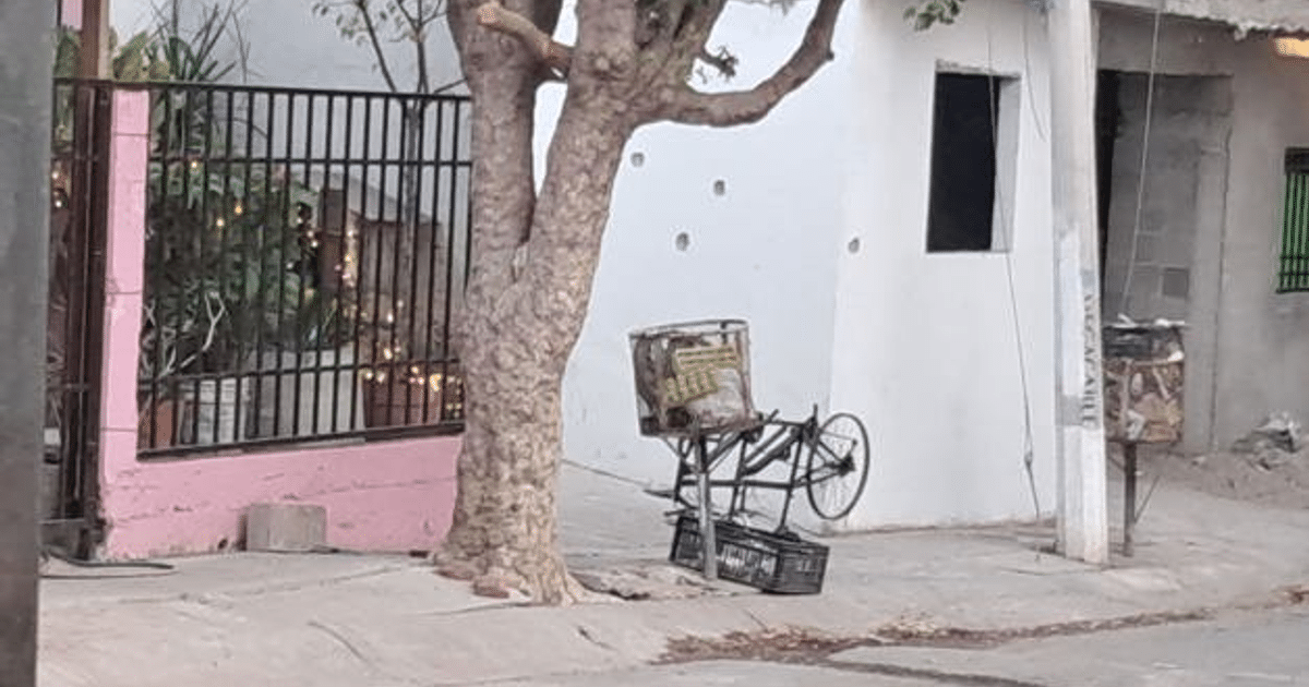 Esquina urbana en Culiacán con árbol, reja negra, pared blanca y objeto volcado en el suelo.