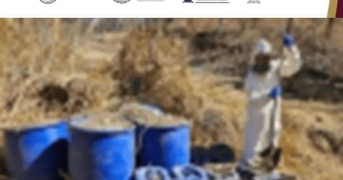 Agente con equipo de protección junto a tambores azules en operativo de desmantelamiento de laboratorios ilícitos.