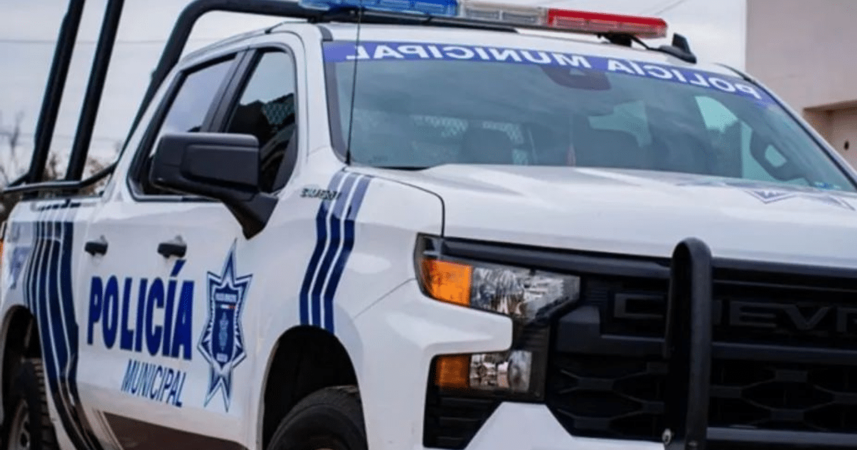 Camioneta de policía municipal con logotipo y luces de emergencia en entorno urbano