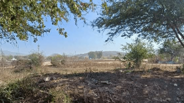 Paisaje natural en Mazatlán con vegetación, árboles y montañas al fondo, relacionado con un hallazgo policial.