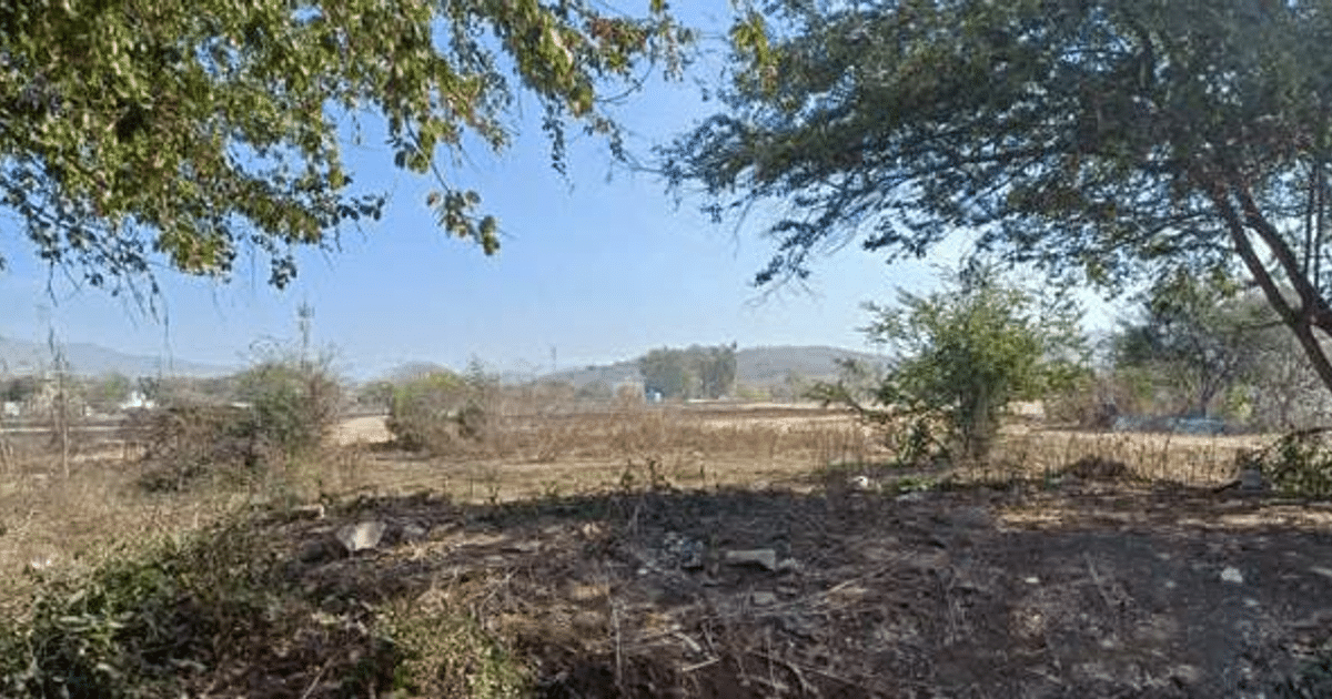 Paisaje natural en Mazatlán con vegetación, árboles y montañas al fondo, relacionado con un hallazgo policial.