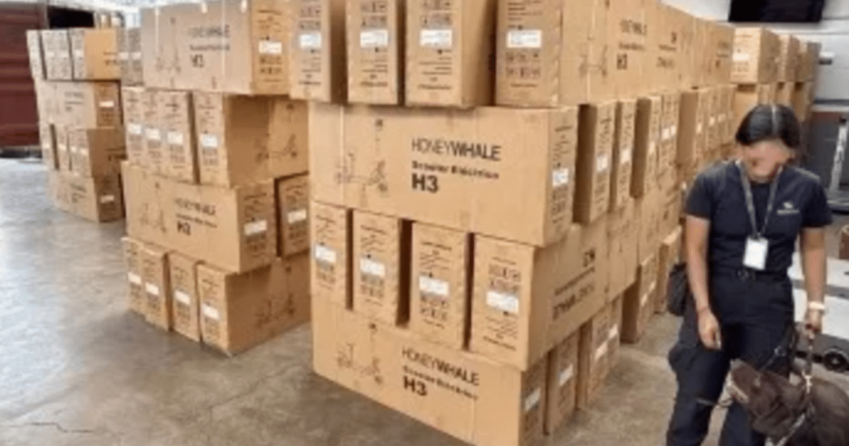 Cajas marrones etiquetadas como 'HONEYWHALE' en un almacén durante un operativo aduanero en Pantaco, Ciudad de México, con una persona y un perro al lado.