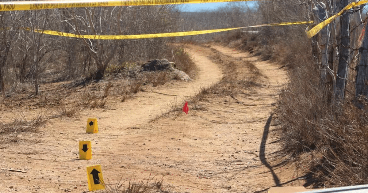 Camino de tierra con cinta de seguridad en Concordia, Sinaloa, escena de un hallazgo de cuerpos relacionados con conflictos armados.