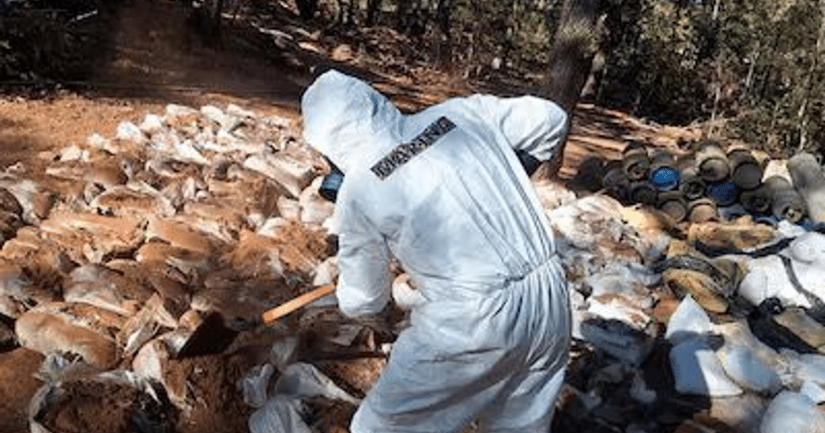 Agente en traje protector en operativo de desmantelamiento de laboratorio clandestino en Zacatecas