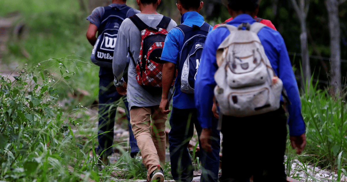 Grupo de personas con mochilas caminando por un sendero rodeado de vegetación, simbolizando el cambio en la política lingüística de EE.UU.